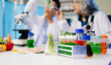 Laboratuvar önlüklü gıda bilimcileri, numuneleri test ediyor ve modern bir laboratuvar ortamında gıda güvenliği ve kalitesini analiz ediyorlar.