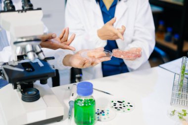 Laboratuvar önlüklü gıda bilimcileri, numuneleri test ediyor ve modern bir laboratuvar ortamında gıda güvenliği ve kalitesini analiz ediyorlar.