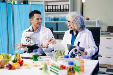 Laboratuvar önlüklü gıda bilimcileri, numuneleri test ediyor ve modern bir laboratuvar ortamında gıda güvenliği ve kalitesini analiz ediyorlar.