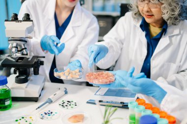 Bir laboratuarda mikroskop ve laboratuvar ekipmanları kullanarak yiyecek araştırması yapan Asyalı bilim adamları ekibi, gıda bilimi ve biyoteknoloji alanında yenilik sergiliyor.