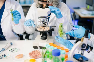 Laboratuvar önlüklü gıda bilimcileri, numuneleri test ediyor ve modern bir laboratuvar ortamında gıda güvenliği ve kalitesini analiz ediyorlar..