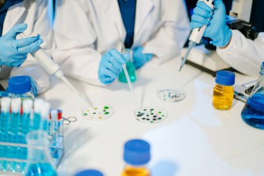 Bilimadamı ekip toplantısı ve yazım analizi laboratuvar çalışmasında ve bilimsel örneklerin analizinde sonuç verir..