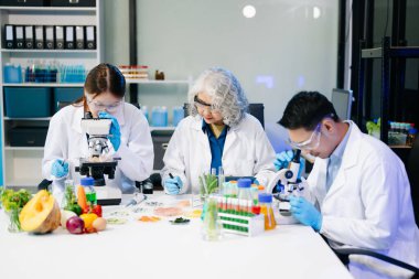 Laboratuvar önlüklü gıda bilimcileri, numuneleri test ediyor ve modern bir laboratuvar ortamında gıda güvenliği ve kalitesini analiz ediyorlar..