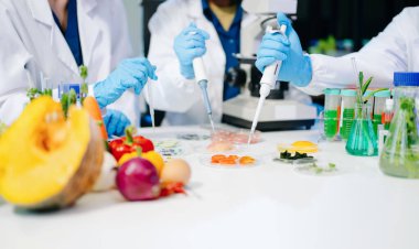 Laboratuvar önlüklü gıda bilimcileri, numuneleri test ediyor ve modern bir laboratuvar ortamında gıda güvenliği ve kalitesini analiz ediyorlar..