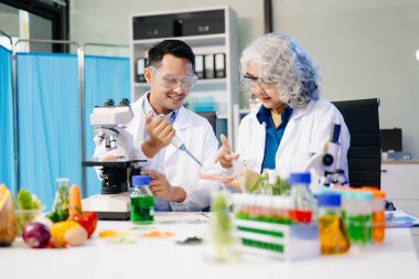 Laboratuvar önlüklü gıda bilimcileri, numuneleri test ediyorlar ve modern bir laboratuvarda gıda güvenliğini ve kalitesini analiz ediyorlar. 