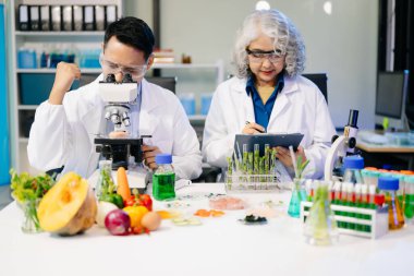 Laboratuvar önlüklü gıda bilimcileri, numuneleri test ediyorlar ve modern bir laboratuvarda gıda güvenliğini ve kalitesini analiz ediyorlar. 