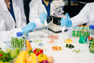 Laboratuvar önlüklü gıda bilimcileri, numuneleri test ediyorlar ve modern bir laboratuvarda gıda güvenliğini ve kalitesini analiz ediyorlar. 