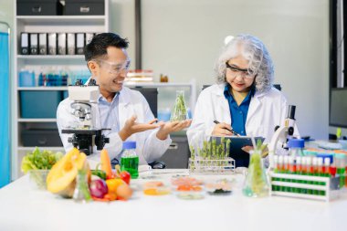 Laboratuvar önlüklü gıda bilimcileri, numuneleri test ediyorlar ve modern bir laboratuvarda gıda güvenliğini ve kalitesini analiz ediyorlar. 