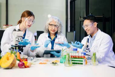 Laboratuvar önlüklü gıda bilimcileri, numuneleri test ediyorlar ve modern bir laboratuvarda gıda güvenliğini ve kalitesini analiz ediyorlar. 