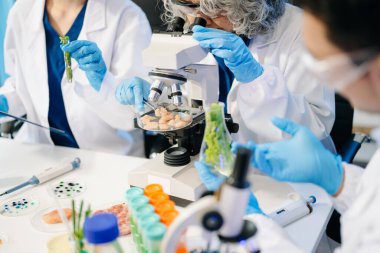 Laboratuvar önlüklü gıda bilimcileri, numuneleri test ediyorlar ve modern bir laboratuvarda gıda güvenliğini ve kalitesini analiz ediyorlar. 