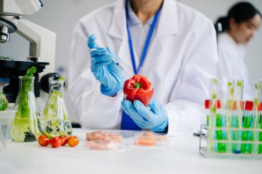 Laboratuar bilimcileri gelişmiş teknoloji ve hassas ekipman kullanarak sebzeleri güvenlik ve kalite için test edip analiz ediyorlar.