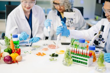 Laboratuvar önlüklü gıda bilimcileri, numuneleri test ediyorlar ve modern bir laboratuvarda gıda güvenliğini ve kalitesini analiz ediyorlar. 