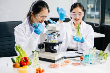 Asyalı kadın bilim adamları modern laboratuarda kimya araştırması yapıyorlar.