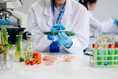 Asyalı kadın bilim adamları modern laboratuarda kimya araştırması yapıyorlar.
