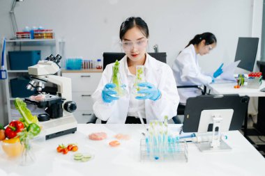 Asyalı kadın bilim adamları modern laboratuarda kimya araştırması yapıyorlar.