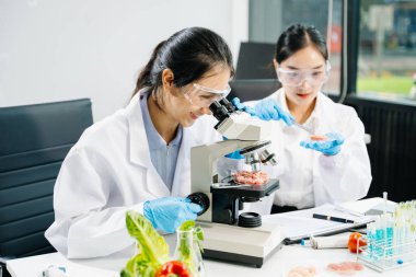 Asyalı kadın bilim adamları modern laboratuarda kimya araştırması yapıyorlar.