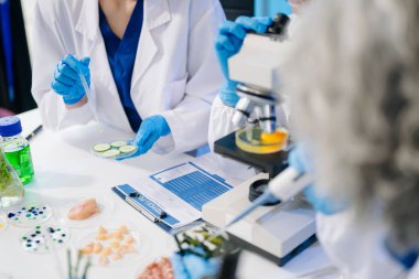 Laboratuvarda mikroskop ve pipetler kullanarak, örnekleri analiz ederek, yenilik, işbirliği ve gıda güvenliği araştırmalarını vurgulayarak yiyecek bilimcilerinin dinamik sahnesi