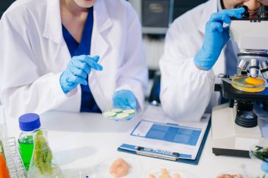 Laboratuvarda mikroskop ve pipetler kullanarak, örnekleri analiz ederek, yenilik, işbirliği ve gıda güvenliği araştırmalarını vurgulayarak yiyecek bilimcilerinin dinamik sahnesi