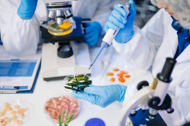 Laboratuvarda mikroskop ve pipetler kullanarak, örnekleri analiz ederek, yenilik, işbirliği ve gıda güvenliği araştırmalarını vurgulayarak yiyecek bilimcilerinin dinamik sahnesi