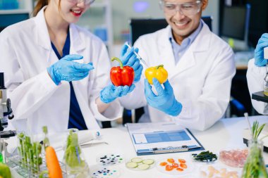 Laboratuvarda mikroskop ve pipetler kullanarak, örnekleri analiz ederek, yenilik, işbirliği ve gıda güvenliği araştırmalarını vurgulayarak yiyecek bilimcilerinin dinamik sahnesi