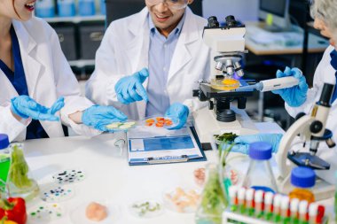 Laboratuvarda mikroskop ve pipetler kullanarak, örnekleri analiz ederek, yenilik, işbirliği ve gıda güvenliği araştırmalarını vurgulayarak yiyecek bilimcilerinin dinamik sahnesi