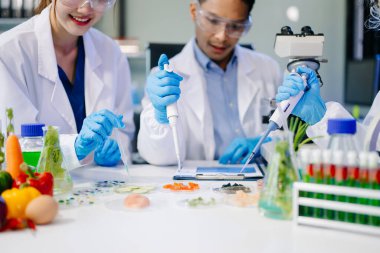 Laboratuvarda mikroskop ve pipetler kullanarak, örnekleri analiz ederek, yenilik, işbirliği ve gıda güvenliği araştırmalarını vurgulayarak yiyecek bilimcilerinin dinamik sahnesi