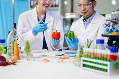 Laboratuvarda mikroskop ve pipetler kullanarak, örnekleri analiz ederek, yenilik, işbirliği ve gıda güvenliği araştırmalarını vurgulayarak yiyecek bilimcilerinin dinamik sahnesi