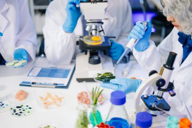 Laboratuvarda mikroskop ve pipetler kullanarak, örnekleri analiz ederek, yenilik, işbirliği ve gıda güvenliği araştırmalarını vurgulayarak yiyecek bilimcilerinin dinamik sahnesi