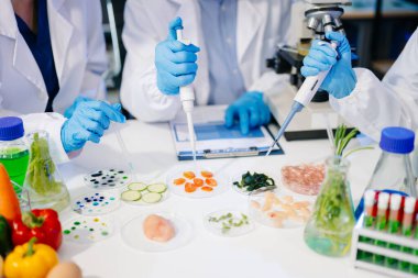 Laboratuvarda mikroskop ve pipetler kullanarak, örnekleri analiz ederek, yenilik, işbirliği ve gıda güvenliği araştırmalarını vurgulayarak yiyecek bilimcilerinin dinamik sahnesi