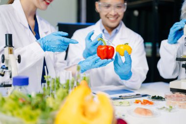 Dynamic scene of food scientists using microscopes and pipettes in a lab, analyzing samples, emphasizing innovation, collaboration, and food safety research clipart