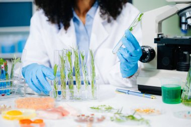 Afrika kökenli Amerikalı kadın gıda bilimcisinin bir laboratuarda yiyecek örneklerini modern ekipmanlarla test ederek gıda güvenliği ve kalite kontrolü sağlıyordu. Beslenme, bilim ve laboratuvar temaları için mükemmel.