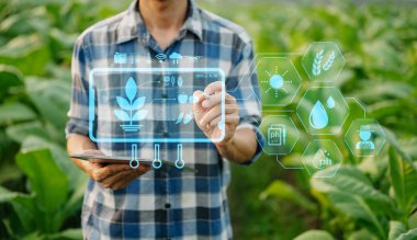 Smart farmer using application by tablet concepts modern agricultural technology and visual icon.Smart farming