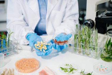 Gelişmiş teknoloji ve laboratuardaki hassas ekipmanları kullanarak sebzeleri güvenlik ve kalite için test edip analiz eden bir gıda bilimcisi.