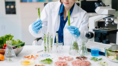 Modern bir laboratuvarda bilim adamı gelişmiş ekipmanlarla yiyecek örneklerini analiz ediyor. Gıda bilimi, gıda bilimi ve biyoteknoloji araştırmaları için mükemmel.