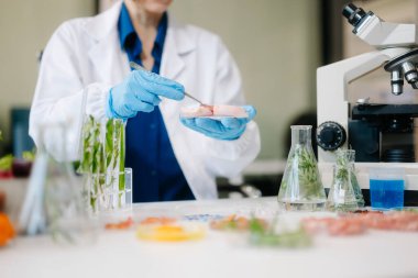 Laboratuvar bilimcisi olarak gıda bilimi, laboratuarda ileri teknoloji ve hassas ekipman kullanarak sebzeleri güvenlik ve kalite için test edip analiz ediyor.