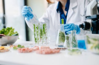 Modern bir laboratuvarda bilim adamı gelişmiş ekipmanlarla yiyecek örneklerini analiz ediyor. Gıda bilimi, gıda bilimi ve biyoteknoloji araştırmaları için mükemmel.