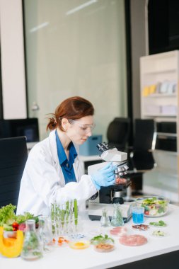 Modern bir laboratuvarda bilim adamı gelişmiş ekipmanlarla yiyecek örneklerini analiz ediyor. Gıda bilimi, gıda bilimi ve biyoteknoloji araştırmaları için mükemmel.