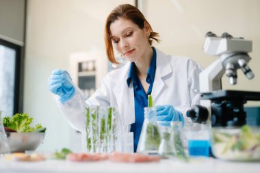 Modern bir laboratuvarda bilim adamı gelişmiş ekipmanlarla yiyecek örneklerini analiz ediyor. Gıda bilimi, gıda bilimi ve biyoteknoloji araştırmaları için mükemmel.