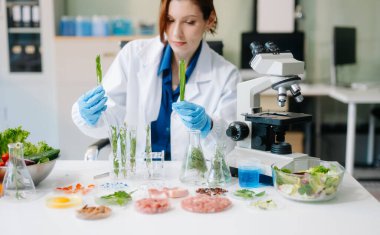 Modern bir laboratuvarda bilim adamı gelişmiş ekipmanlarla yiyecek örneklerini analiz ediyor. Gıda bilimi, gıda bilimi ve biyoteknoloji araştırmaları için mükemmel.