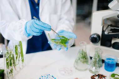 Laboratuvar bilimcisi olarak gıda bilimi, laboratuarda ileri teknoloji ve hassas ekipman kullanarak sebzeleri güvenlik ve kalite için test edip analiz ediyor.