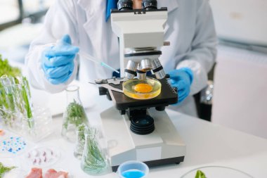 Modern bir laboratuvarda bilim adamı gelişmiş ekipmanlarla yiyecek örneklerini analiz ediyor. Gıda bilimi, gıda bilimi ve biyoteknoloji araştırmaları için mükemmel.