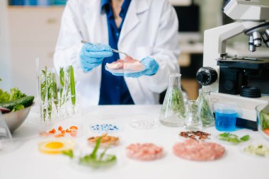 Laboratuvar bilimcileri olarak gıda bilimi, gelişmiş teknoloji ve hassas ekipmanlar kullanarak sebzeleri güvenlik ve kalite için test edip analiz ediyor. la içinde