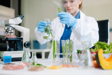 Modern bir laboratuvarda bilim adamı gelişmiş ekipmanlarla yiyecek örneklerini analiz ediyor. Gıda bilimi, gıda bilimi ve biyoteknoloji araştırmaları için mükemmel.