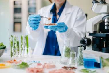 Laboratuvar bilimcileri olarak gıda bilimi, gelişmiş teknoloji ve hassas ekipmanlar kullanarak sebzeleri güvenlik ve kalite için test edip analiz ediyor. la içinde