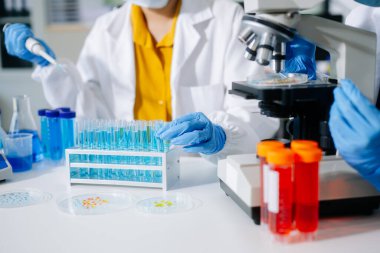 Bilim adamları, deney tüpleri ve mikroskop son teknoloji araştırmalar. Bilim ve teknoloji projeleri için mükemmel.