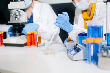 Tıp laboratuarında mikroskop kullanarak araştırma yapan genç bilim adamları.  