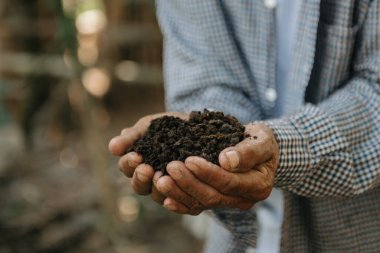 Yaşlı çiftçi güneş ışığında elleri bağlı toprak tutuyor.