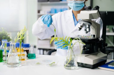 Biyokimya laboratuvarında çalışan bitkilerle deney yapan bir biyolog. ofis