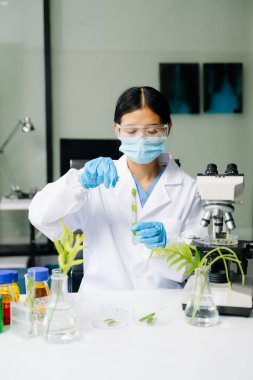 Biyokimya laboratuvarında çalışan bitkilerle deney yapan bir biyolog. ofis