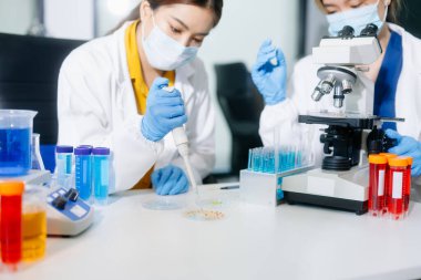 Asyalı kadın bilim adamları modern laboratuarda kimya araştırması yapıyorlar.